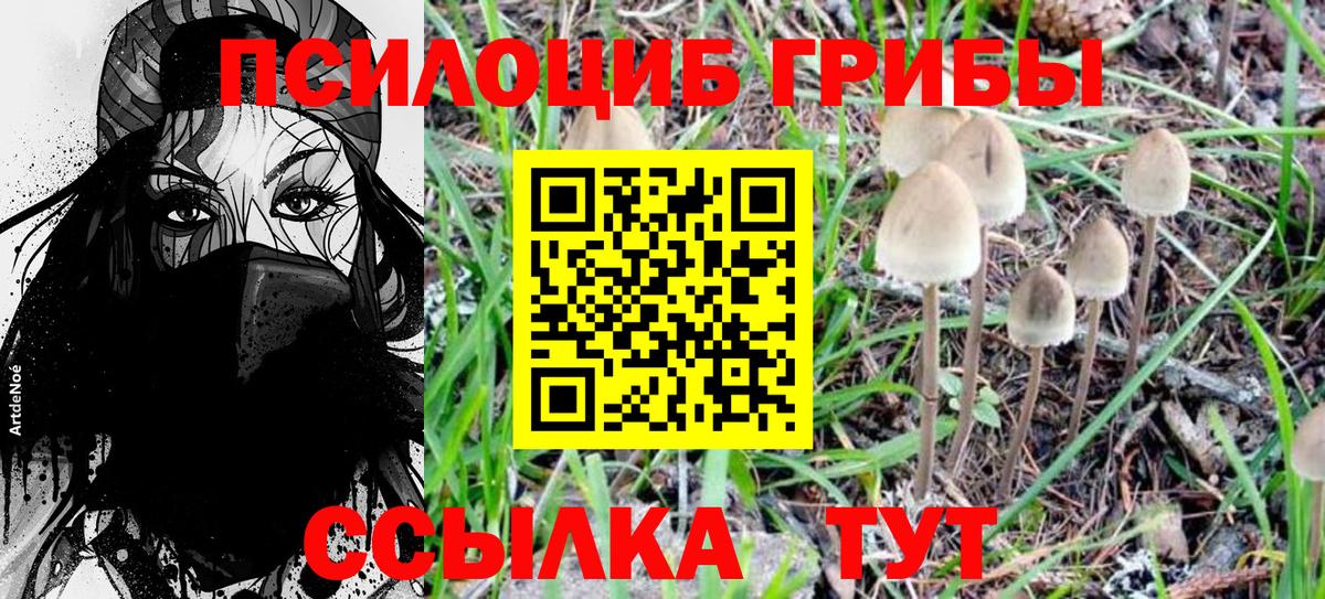 Галлюциногенные грибы GOLDEN TEACHER Тейково